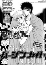 Ночь целомудрия