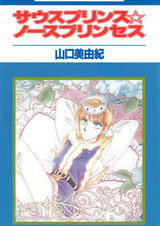 Южный принц, северная принцесса