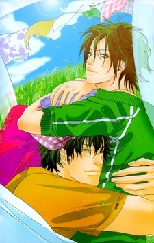 Бабочки, цветочки