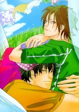 Бабочки, цветочки