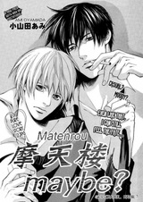 Небоскрёб. Наверное?