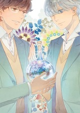 Миниатюрный сад романтики