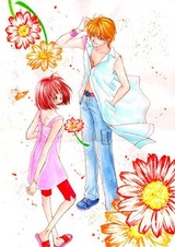 Королевство парней