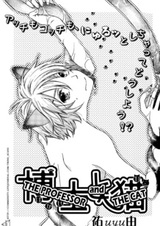 Профессор и кот