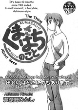 Кое-что о пчёлах