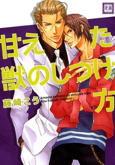 Укрощение прекрасного зверя