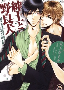 Благородный господин и бродячий пёс