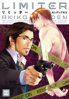 Ограничитель