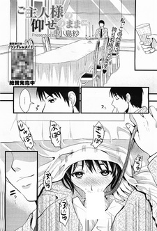 Как прикажет хозяин