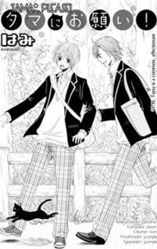 Тама, прошу тебя!