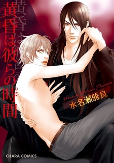 Наше время — сумерки