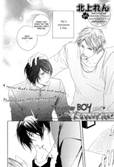 Парень с воротничком и любовный совет