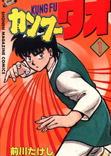 Кунг-фу Тао