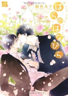 Лепестки розы