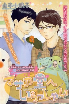 Добро пожаловать в магазин Масаки