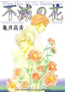 Бессмертные цветы