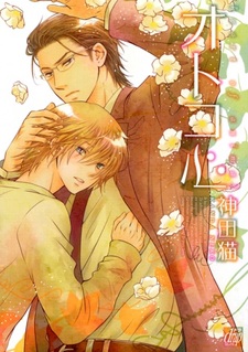 Мужское сердце