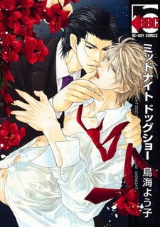 Ночная выставка собак