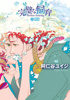 Идеальная дрессировка