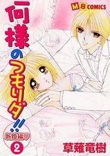 Nani-sama no Tsumorida!! Shinkonhen