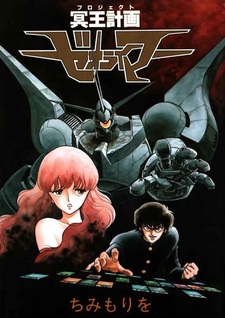 Проект Зеораймер