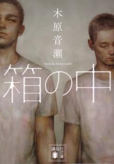 За решёткой