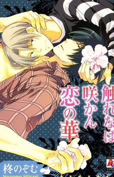 Furenaba Sakan Koi no Hana