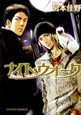 Ночная прогулка