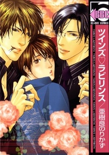 Лабиринт близнецов