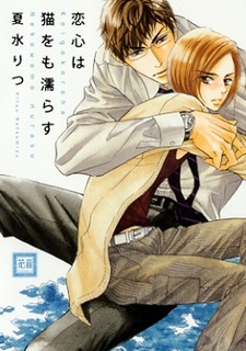 Любви подвластны даже кошки