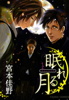 Спящая луна