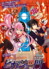 Врата Хигадзё