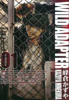 Дикий адаптер