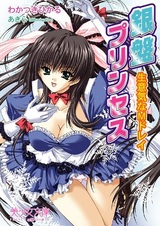 Ginban Princess: Namaiki na M Dorei