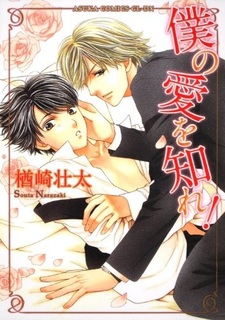 Пойми мою любовь