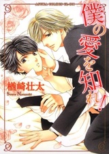 Пойми мою любовь