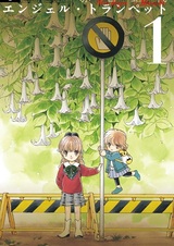 Ангельская труба