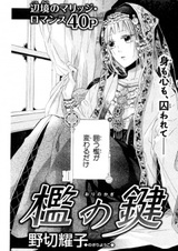 Ключ от клетки