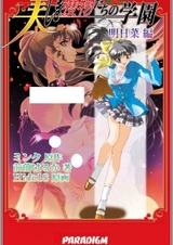 Пороки женского братства