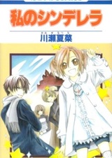 Моя золушка