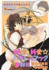 Чистая романтика: Книга параллелей