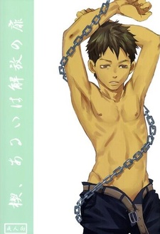 Ключ, или дверь к освобождению