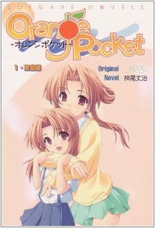 Orange Pocket