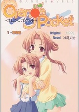 Orange Pocket