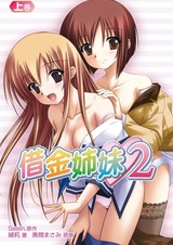 Долг сестры 2