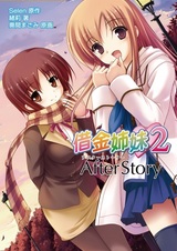 Долг сестры 2: Продолжение истории