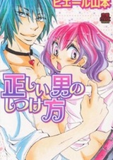 Tadashii Otoko no Shitsukekata