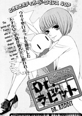 Доктор Кролик