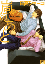 После шторма