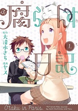 Французский дневник